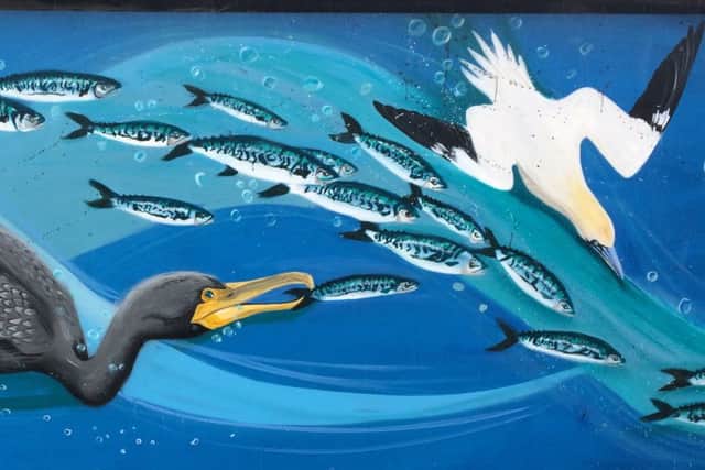 A new mural at Splashpoint Leisure Centre has been designed in conjuction with the Last Fisherman Standing lottery funded project in Worthing SUS-170926-084715001
