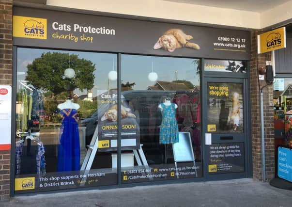 Cats Protection shop in Roffey, Horsham SUS-180529-144119001