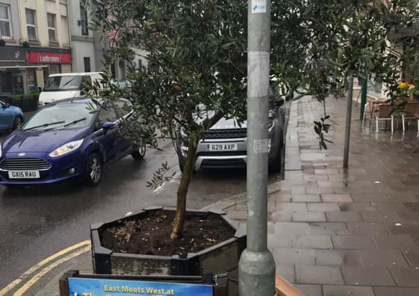 Mark Gretton sent in this picture and questioned the placement of the tree
