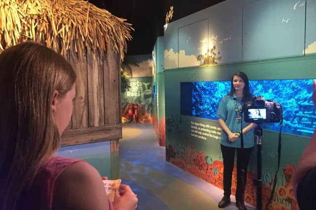 Morgan has some useful video practice interviewing Olivia Cottrell, Sea Life guest experience host