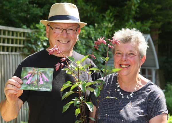 DM1853566a.jpg. A couple from Southwater John and Sarah Knott have discovered a new plant in their garden (Kisses and wishes). Photo by Derek Martin Photography SUS-180528-155626008