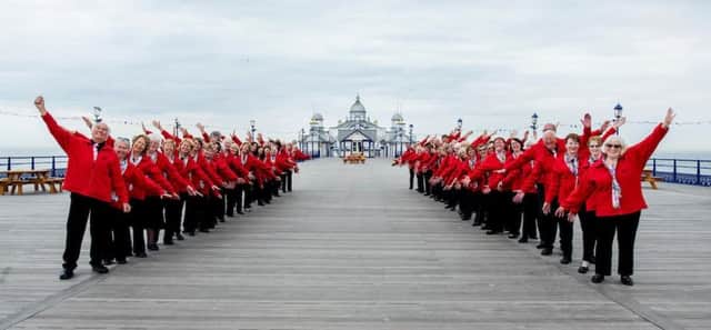 Eastbourne choir Concentus