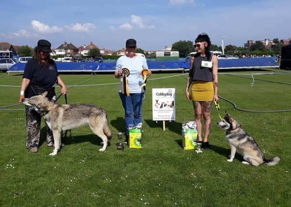 Some of the winners at the Bexhill Companion Dog Show 2018 SUS-180506-144642001