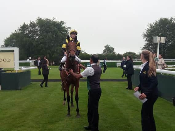Main Edition and James Doyle come into the winner's enclosure