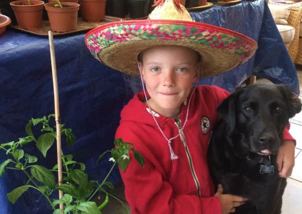 Adam uses his chilli sales to help stray dogs