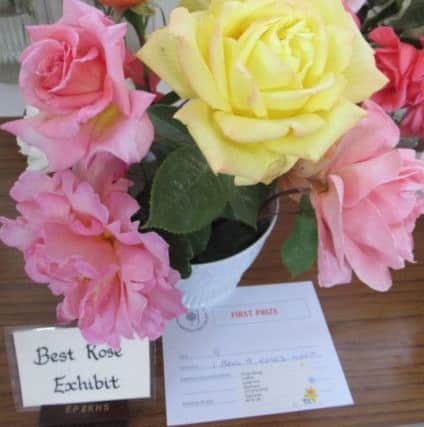 Joy Aldridge's best rose in show