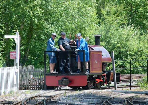 Amberley Museum will be hosting a Dads Can Do event on Sunday for Father's Day