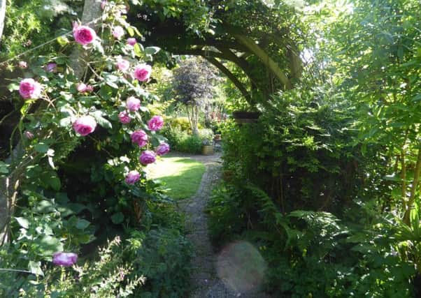 The garden at Channel View, 52 Brook Barn Way, Goring, will be open as part of the National Garden Scheme from 2pm to 5pm on Saturday and Sunday, June 16 and 17