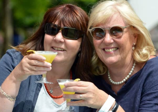 The second Sussex Gin and Fizz Festival took place at Southover Grange Gardens in Lewes on Saturday (June 16). Photograph by Peter Cripps