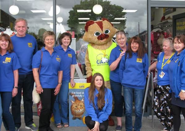Cats Protection in Roffey is open for business
