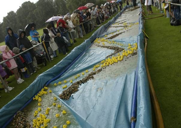 It was nice weather for ducks at Pulborough's Duck Race in 2007