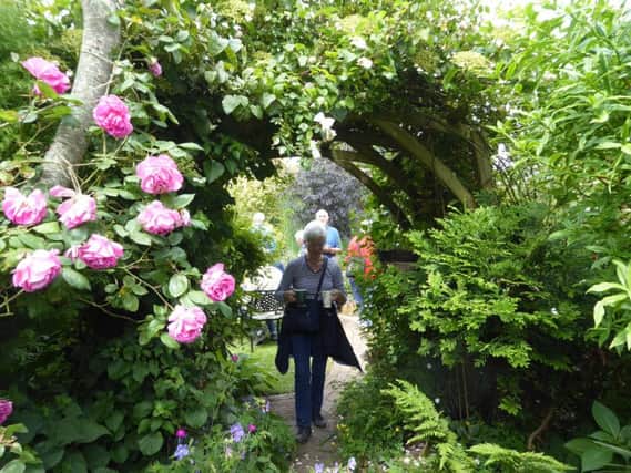 Channel View garden, Goring, beat its record with 400 visitors over a weekend