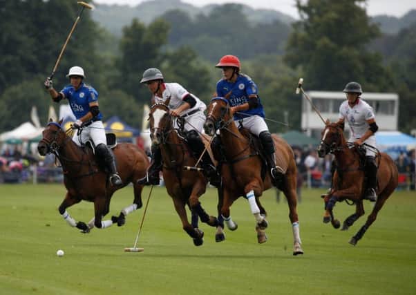 Gold Cup thrills at Cowdray Park / Picture by Clive Bennett
