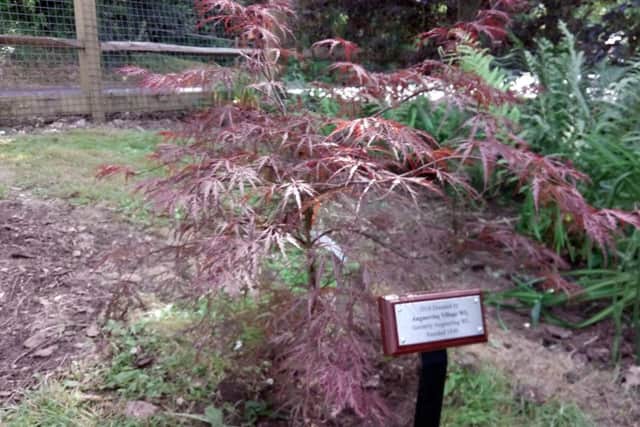 The acer tree is in memory of all past, present and future members of Angmering Village WI