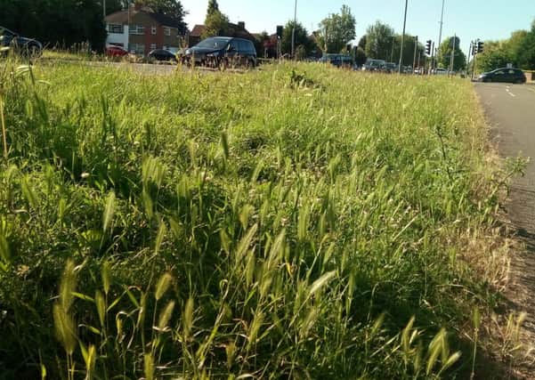 New Bedford Road grass verge