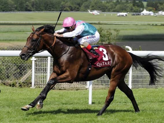 Expert Eye at Glorious Goodwood last year - and the Royal Ascot winner could be back this year / Picture by Malcolm Wells