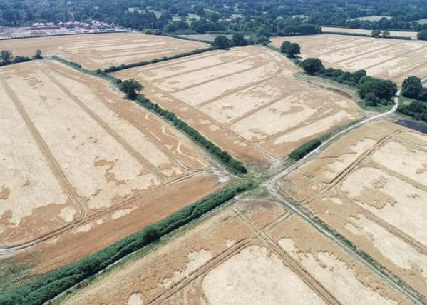 Mysterious 'crop circle' type markings in Ifield, Crawley. Photo: Eddie Mitchell SUS-180628-165611001