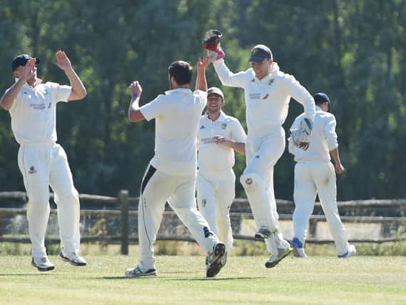 Ansty celebrate a wicket against Billingshurst. Picture by Liz Pearce