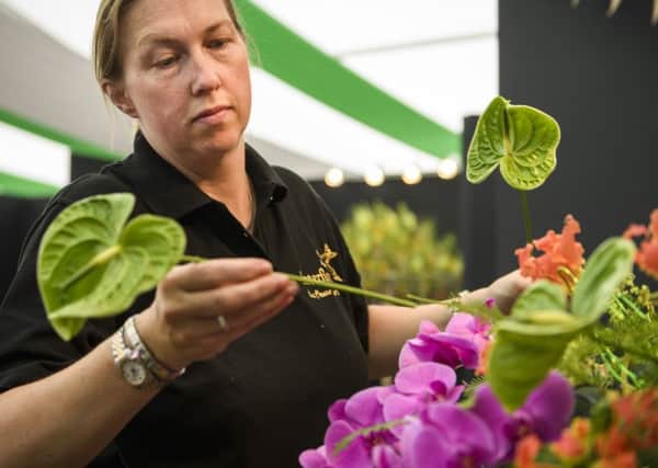 Rachel Matthews from Greenfingers florists in Worthing took part in the Interflora Florist of the Year competition
