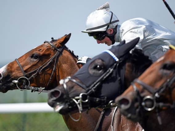 Society Power wins at Goodwood earlier this season / Picture by Malcolm Wells