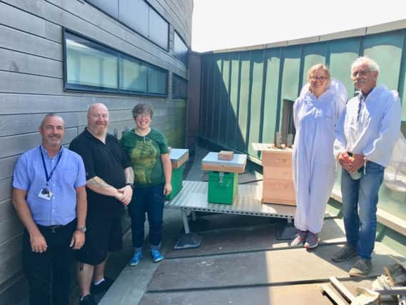 (Second from left): Splashpoint engineer Terry Gough, project organisers Anne Thwaites and Debs Butler and Tony Bennett, beekeeper, at the launch of the Worthing Honey Collective's first two hives on the roof of the Splashpoint Centre in Brighton Road