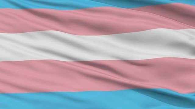 The trans flag: Brighton Pride said it stood in solidarity with the trans community after the incident at the Pride in London parade SUS-180907-124751001