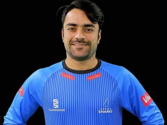 Supporters need to act fast if they want to catch Rashid Khan in action at Hove this summer - Photo: Sussex Cricket