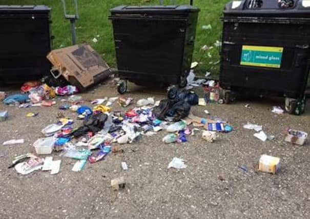 Sterling Heights rubbish around communal bins