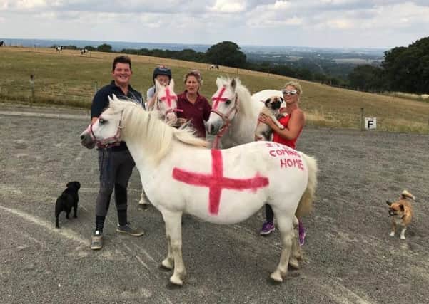 The three patriotic ponies at Three Greys Riding School in Pyecombe