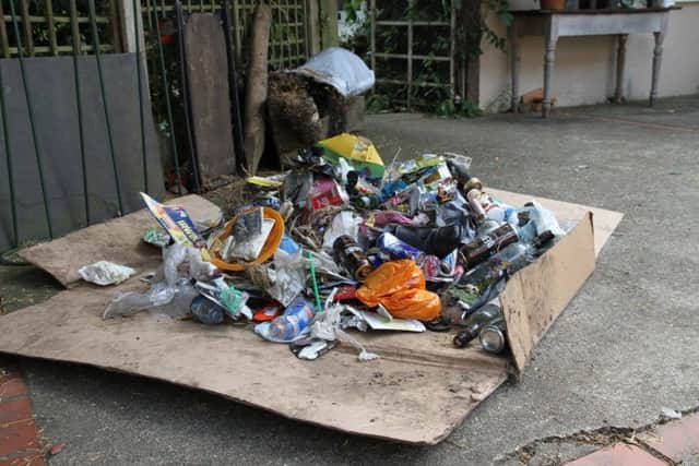David Farrer-Brown sent in this picture of litter he collected between the Wick level crossing and the Six Bells pub