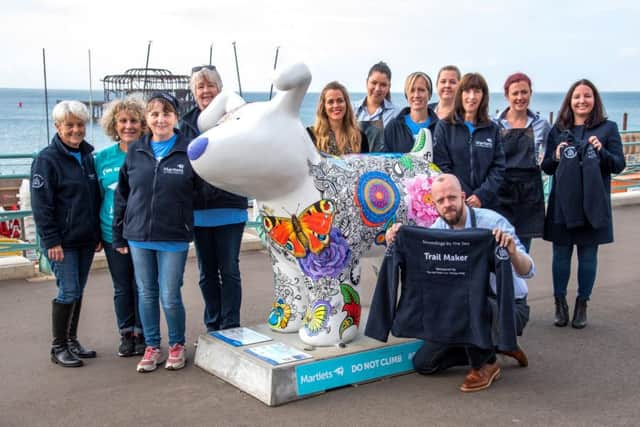 Martlets trail makers as part of Snowdogs by the Sea in 2016 (Photo by Liz Finlayson/Vervate)