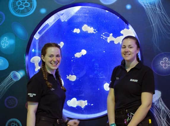 Deanna and Emily with white spot jellies