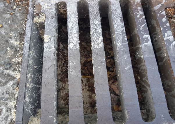 Maggots in Horsham drain. Photo by Lisa Bailey