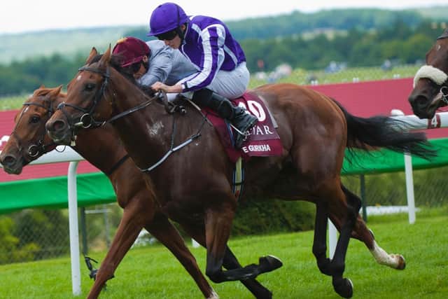 The Gurkha, nearest the camera, gave Aidan O'Brien his most recent Sussex Stakes winner in 2016 / Picture by Tommy McMillan