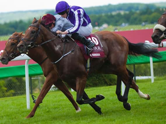 The Gurkha, nearest the camera, gave Aidan O'Brien his most recent Sussex Stakes winner in 2016 / Picture by Tommy McMillan