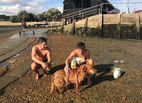 Alfie Page and Dylan Tillyard rescued therapy dog Evie who had got in trouble while swimming in Bosham