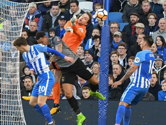 Tim Krul in action for Brighton last season. Picture by Phil Westlake (PW Sporting Photography)