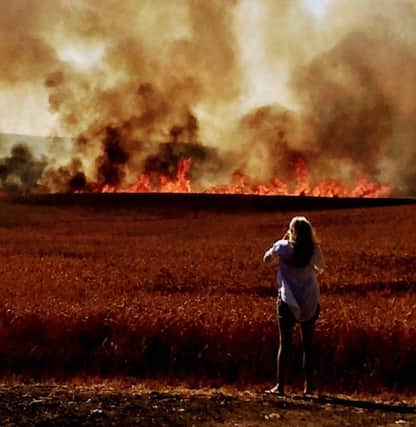 The devastating blaze left crops destroyed along with a tractor worth Â£60,000. Photograph by Stuart Birkbeck