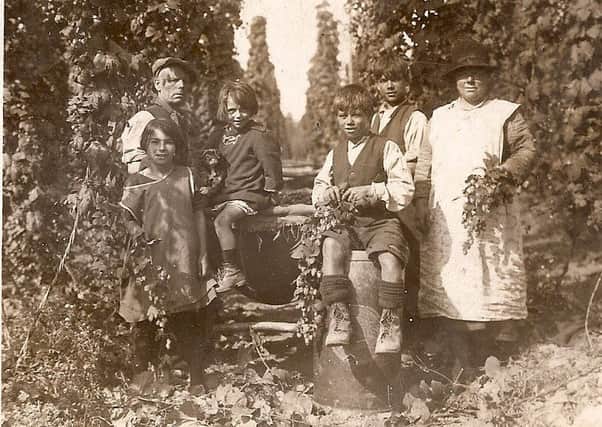 Early 1900s, hop-picking: on the right, Moses and Hiram with their mother, Sarah Tidy, nÃ©e Scarrott; on the left: other relatives