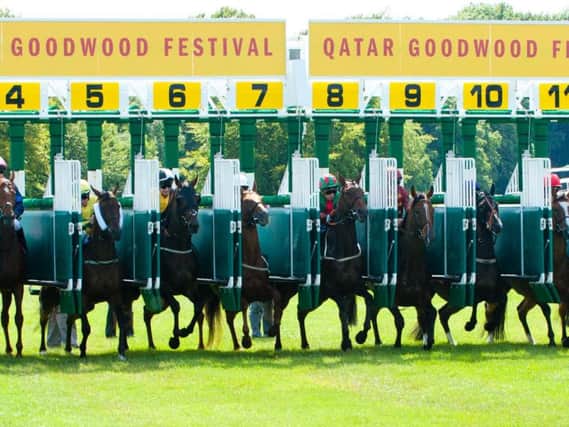 Ready for the off at the Qatar Goodwood Festival / Picture by Tommy McMillan
