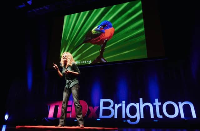 TEDxBrighton 2016