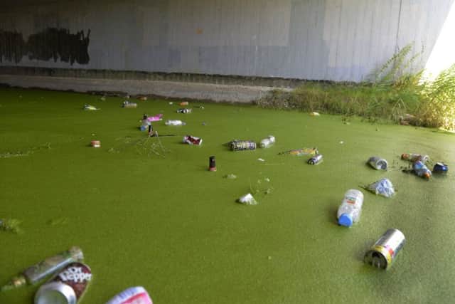 Litter dumped in Shinewater Lake area in Eastbourne (Photo by Jon Rigby)