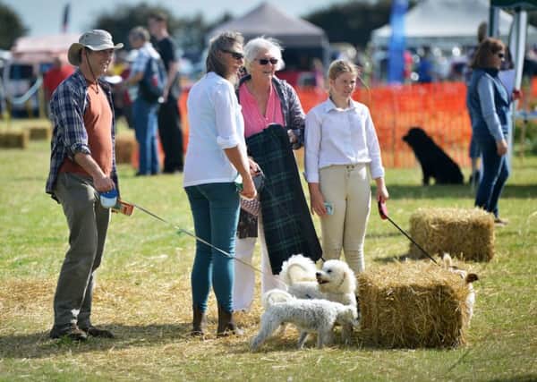 Rye Country Show 2017. SUS-170819-142942001