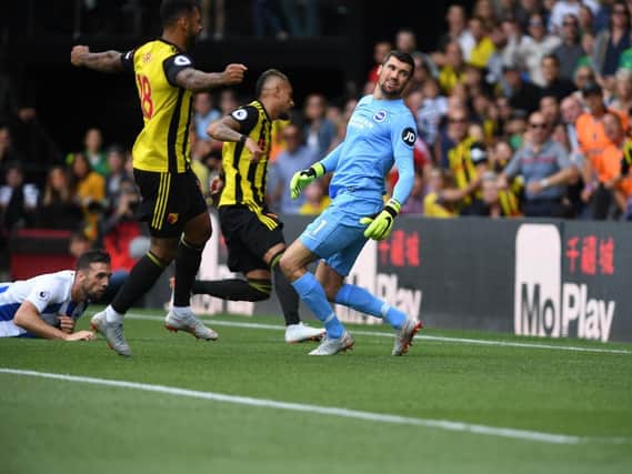 Watford's Roberto Pereyra wheels away after beating Maty Ryan for his second goal against Brighton & Hove Albion. Picture by PW Sporting Photography