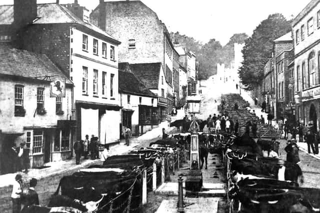 Market day in Arundel town square - c1880.