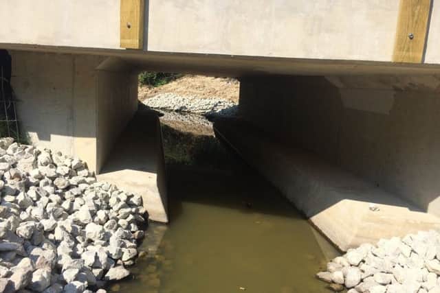 The wildlife shelves, under the bridge, which enable animals to safely cross the causeway. Picture: WSCC