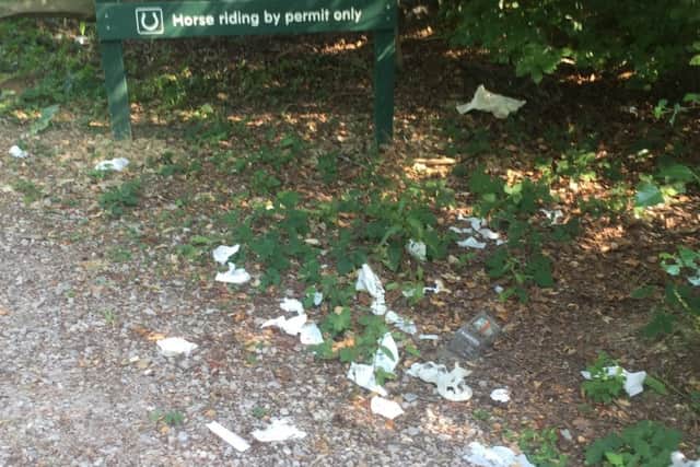 Tim Bowen said used wet wipes and empty packaging for syringes were dumped in Blackland Wood