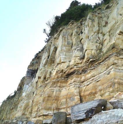Louisa Jennings is concerned of rocks falling from the cliff at Pett Level. Picture: Louisa Jennings