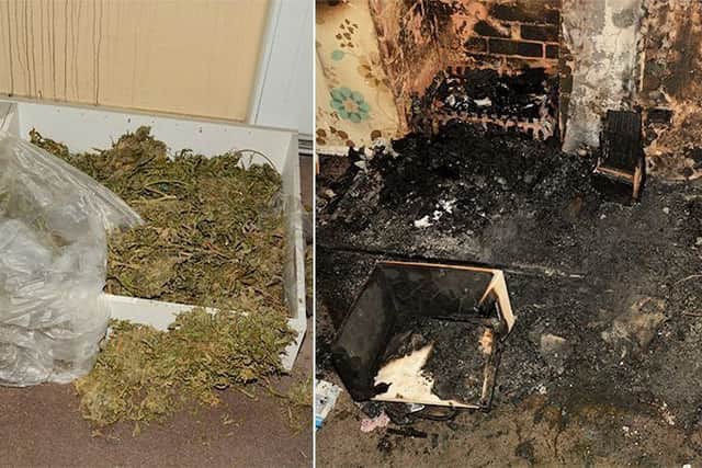 The cannabis and fire damage SUS-180813-180503001