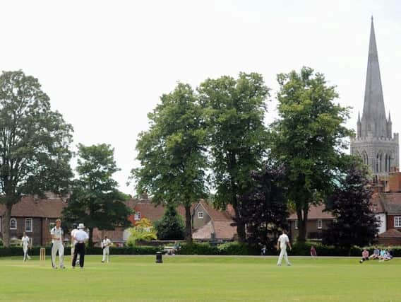 Cricket in Priory Park / Picture by Louise Adams